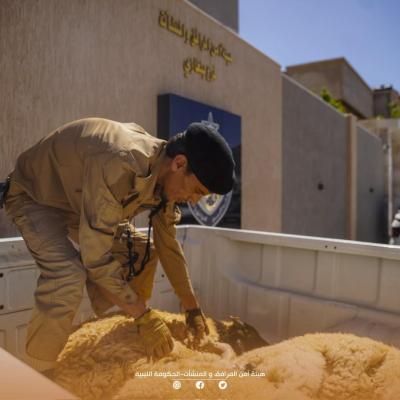 الفريق ركن صدام حفتر يدعم توزيع أضاحي العيد على أسر شهداء الكرامة في ليبيا